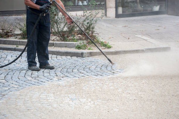 Best Driveway Cleaning and Restoration in Carrollton, IL